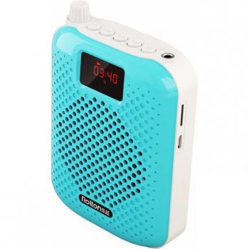 K500 Wireless Teaching Microphone