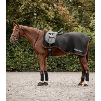 Manta Exterior Imperméable Para Caballo Waldhausen Perth