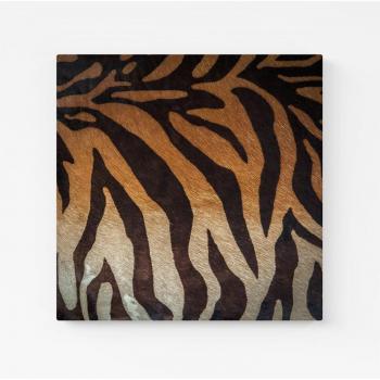 Coastal Brown Biscuit Coasters – Quartet