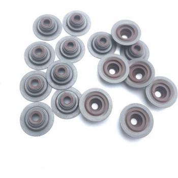 SAIC ROEWE 550 MG6 1.8T Valve Oil Seal Rubber Set LUB100350