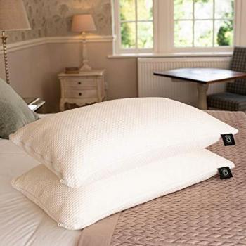 Ultra Soft Bamboo Pillow Protectors 2 Pack