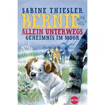 Bernie allein unterwegs