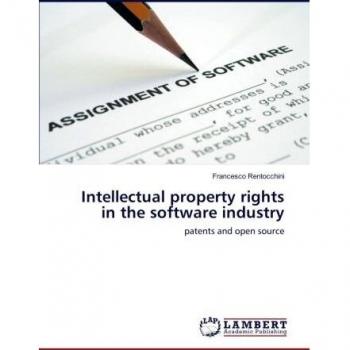 Intellectual property rights in the software industry