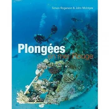Plongées en mer Rouge