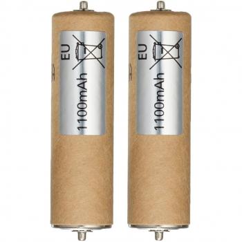 Deux pièces batterie Panasonic WER154L2504