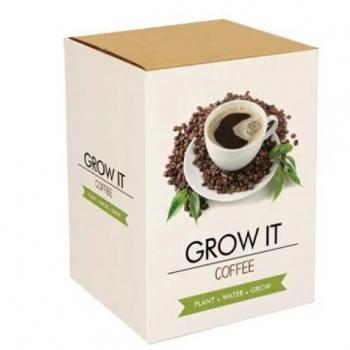 Grow Your Own Coffee Plant