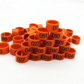 Anillo para patas de paloma