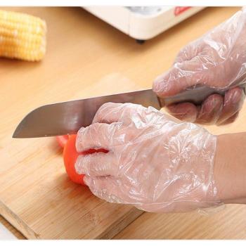 Disposable Food Service Gloves for Kitchen Use