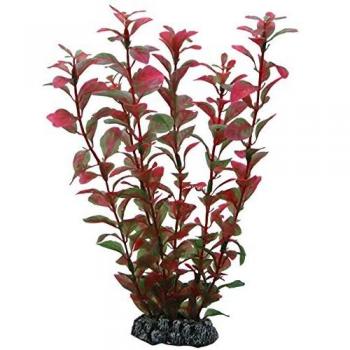 Planta de Acuario con Base de Roca Artificial Ludwigia 25 cm