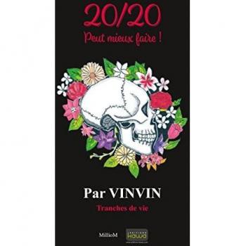 20/20 Peut mieux faire! Tranches de vie par VINVIN