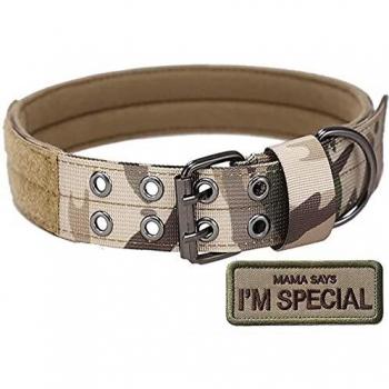 Collier de Chien S.Lux Résistant aux Rayures