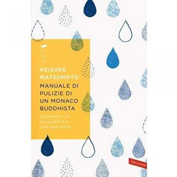 Manuale di pulizie di un monaco buddhista. Spazziamo via la polvere e le nubi dell'anima