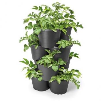 Tour d’herbier 65 x 42 cm – pots empilables pour pommes de terre et tomates, set 4