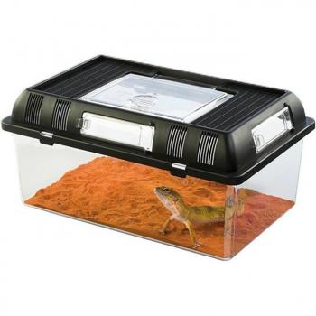 Horned Frog Litter Box