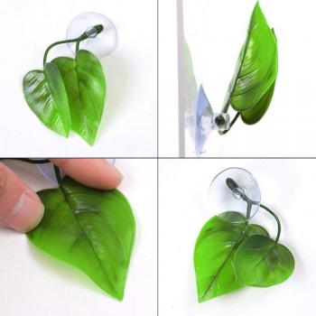 Betta Fish Leaf Pad for Betta Spawning