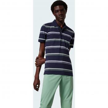 Polo Masculino Rayas en Fondo Azul Pierre Cardin