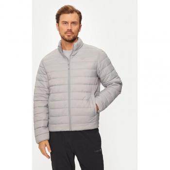 4F Regular Fit Winterjacke 4FWAW24TDJAM483 Grau
