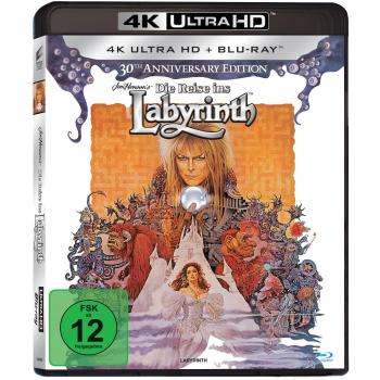 Die Reise ins Labyrinth