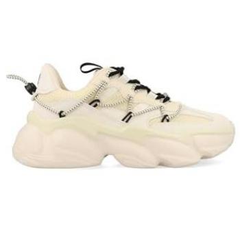 Basso Spectator Steve Madden Sneaker Bianco