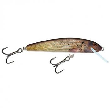 M6F Poisson Nageur Salmo‑Grey