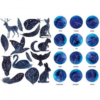 School Supplies Star Animal Stickers