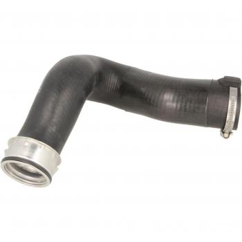 DCW143TT ThermoTEC Precision Air Hose Charger