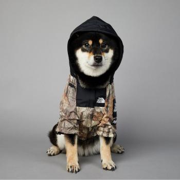 French Bulldog Waterproof Rain Gear