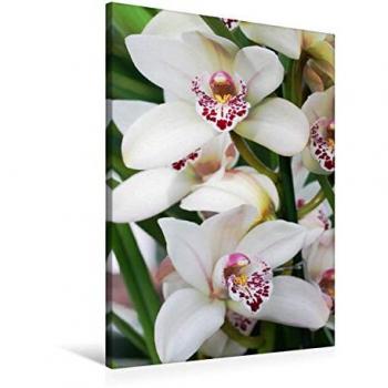 Calvendo Textil‑Leinwand 60 × 90 cm – Gisela Kruse Orchideen
