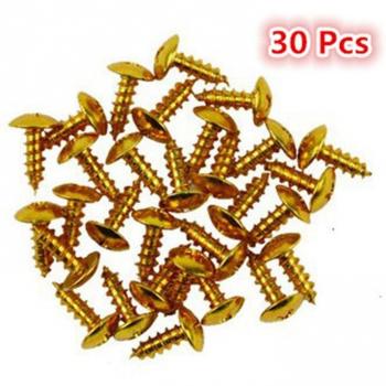 30 PCS Universal Motorcycle Bolts and Screws