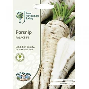 Parapnip palace f1 200 fresh seeds parsnip seeds vegetable seeds f1