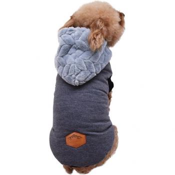 Chihuahua Winter Hoodie