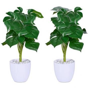 Decorazioni Casa Piante Finte Monstera