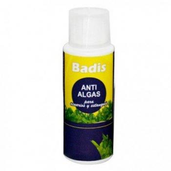Badis Fish Tank Algae Solution