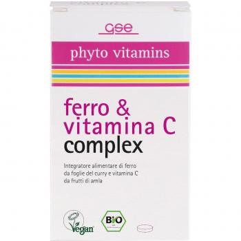 Ferro e Vitamina C em Pó 36 g