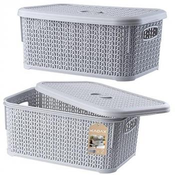Paniers Rectangulaires Gris (x2) – 6 L – Plastique Transparent – Usage Multi‑Usage