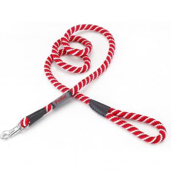 Red Spiral Petio Lead – 10mm for Small Pets