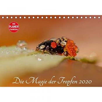 Die Magie der Tropfen 2020