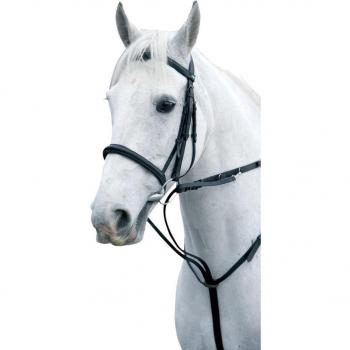 Full Hy Harbour Cob Nero