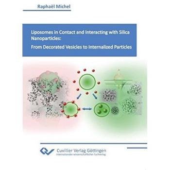 Liposomes in Contact and Interacting with Silica Nanoparticles: From Decorated Vesicles to Internalized Particles