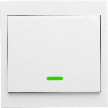 Wireless RF Remote Switch for Living Room