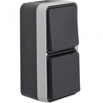 Berker W.1 Surface-Mounted Combination Switch/Socket Outlet 47803515