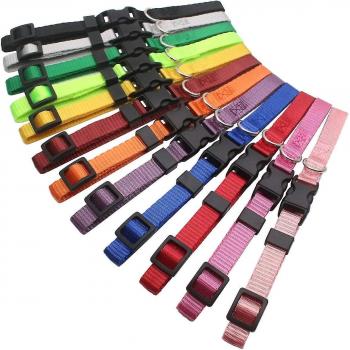 Collares de Identificación para Perros Bebés