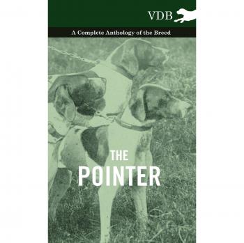 The Pointer