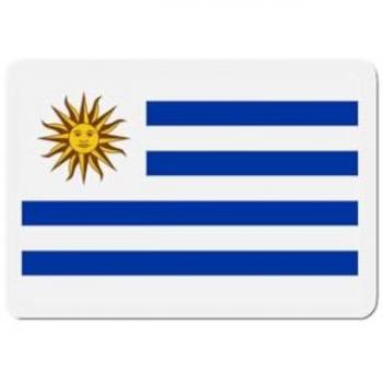 Uruguay Flag Fridge Magnet Set