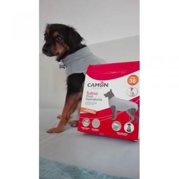 Tutina Protettiva Post Operatoria Camon 45 cm