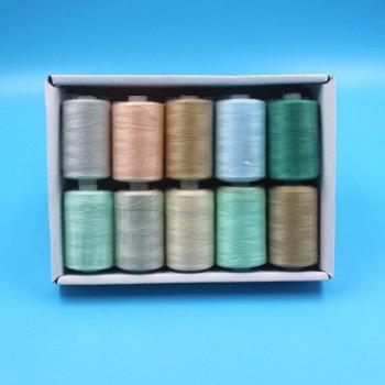 Técnica Pro 402 Hilo de Costura Multicolor 10x1000 Yds