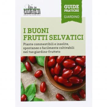 I buoni frutti selvatici. Piante commestibili e insolite, spontanee o facilmente coltivabili nel tuo giardino-frutteto