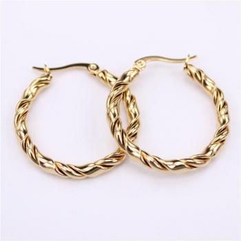 Stainless Steel Twisted Wire Hoop Earrings