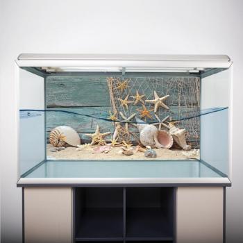 3D Aquarium Wall Decoration Adhesive Seashell Starfish Image