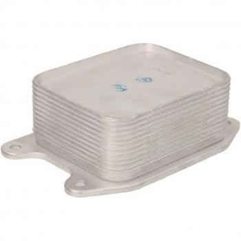 Radiador de Óleo THERMOTEC D4W014TT para Ibiza, Polo e A1